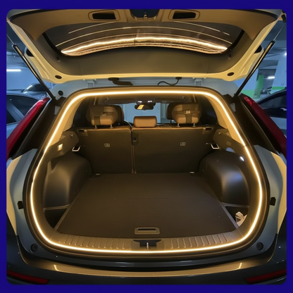 Gracilis"LIGHT and ELEGENCE